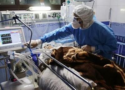 کرونا جان 179 نفر دیگر را گرفت، آمار رسمی وزارت بهداشت